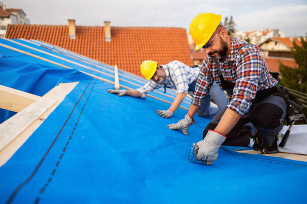 Best Roof Gutter Cleaning  in Woodbury Center, CT